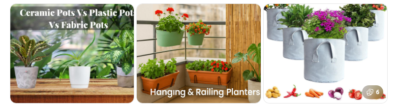  Right Containers and Pots